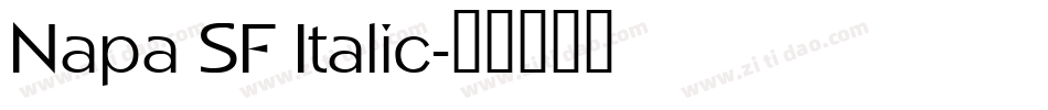 Napa SF Italic字体转换